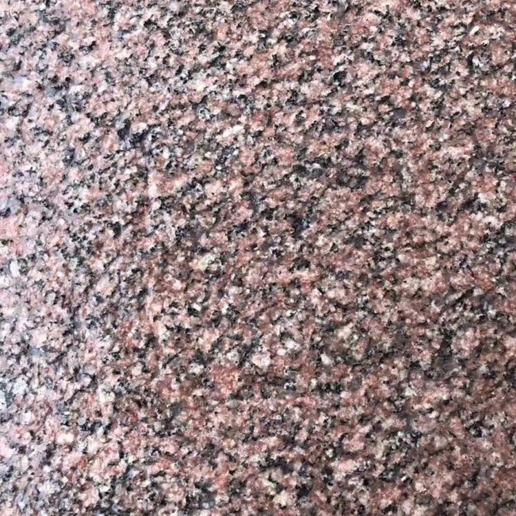 將軍紅哪里有圖片