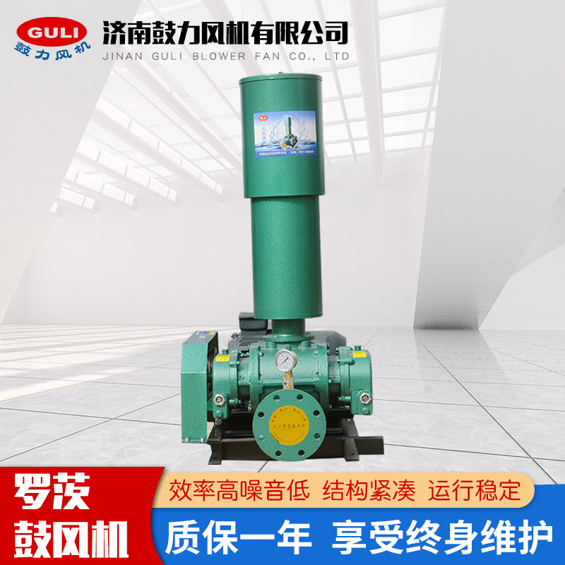 羅茨風(fēng)機圖片/羅茨風(fēng)機樣板圖 (2)