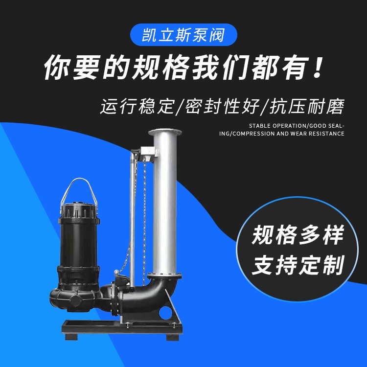 潛水排污泵圖片/潛水排污泵樣板圖 (2)