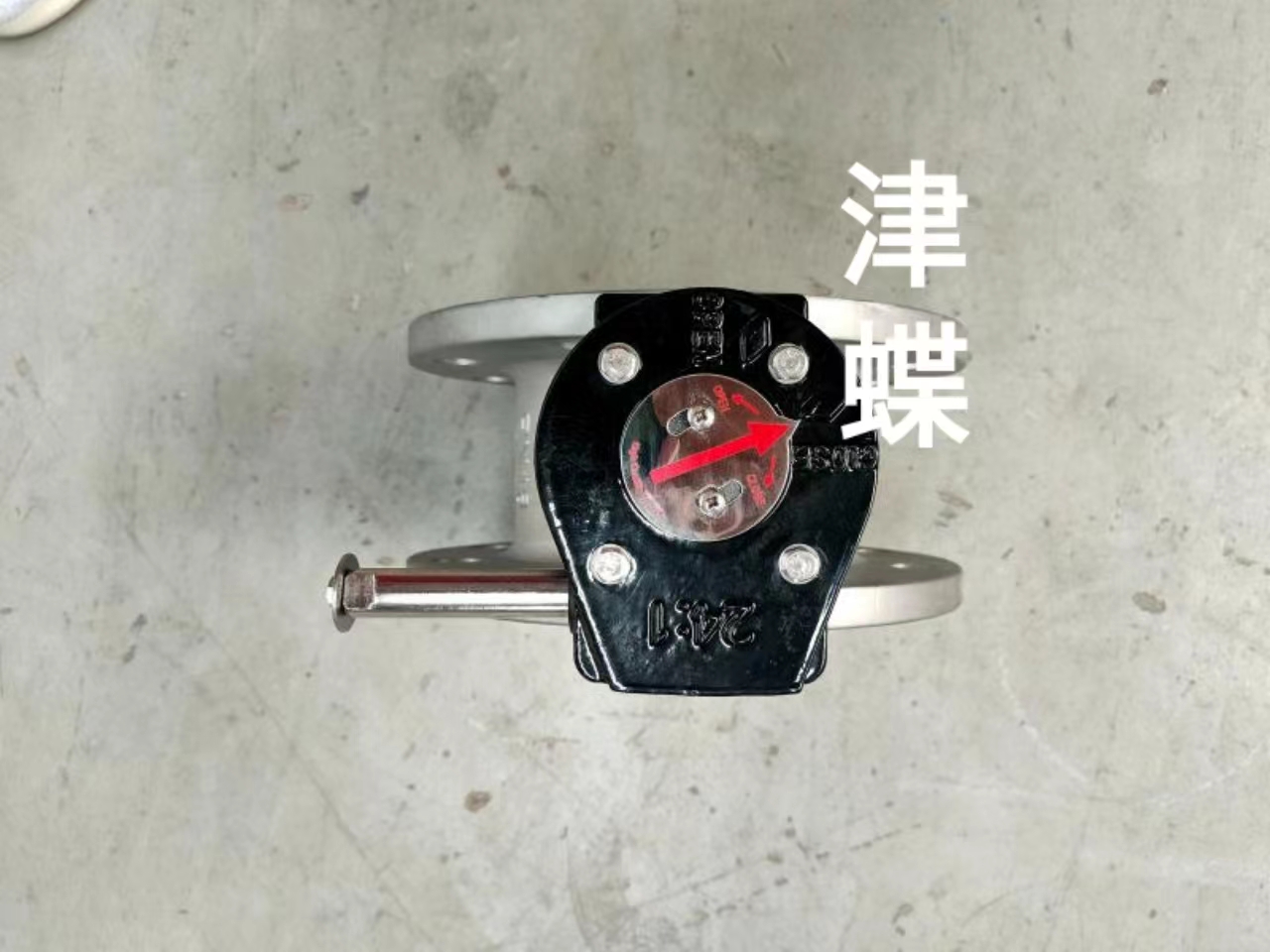 不銹鋼法蘭四氟蝶閥圖片/不銹鋼法蘭四氟蝶閥樣板圖 (4)