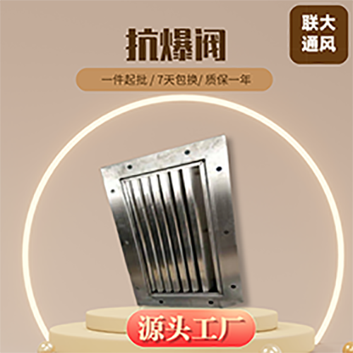 抗爆閥011圖片