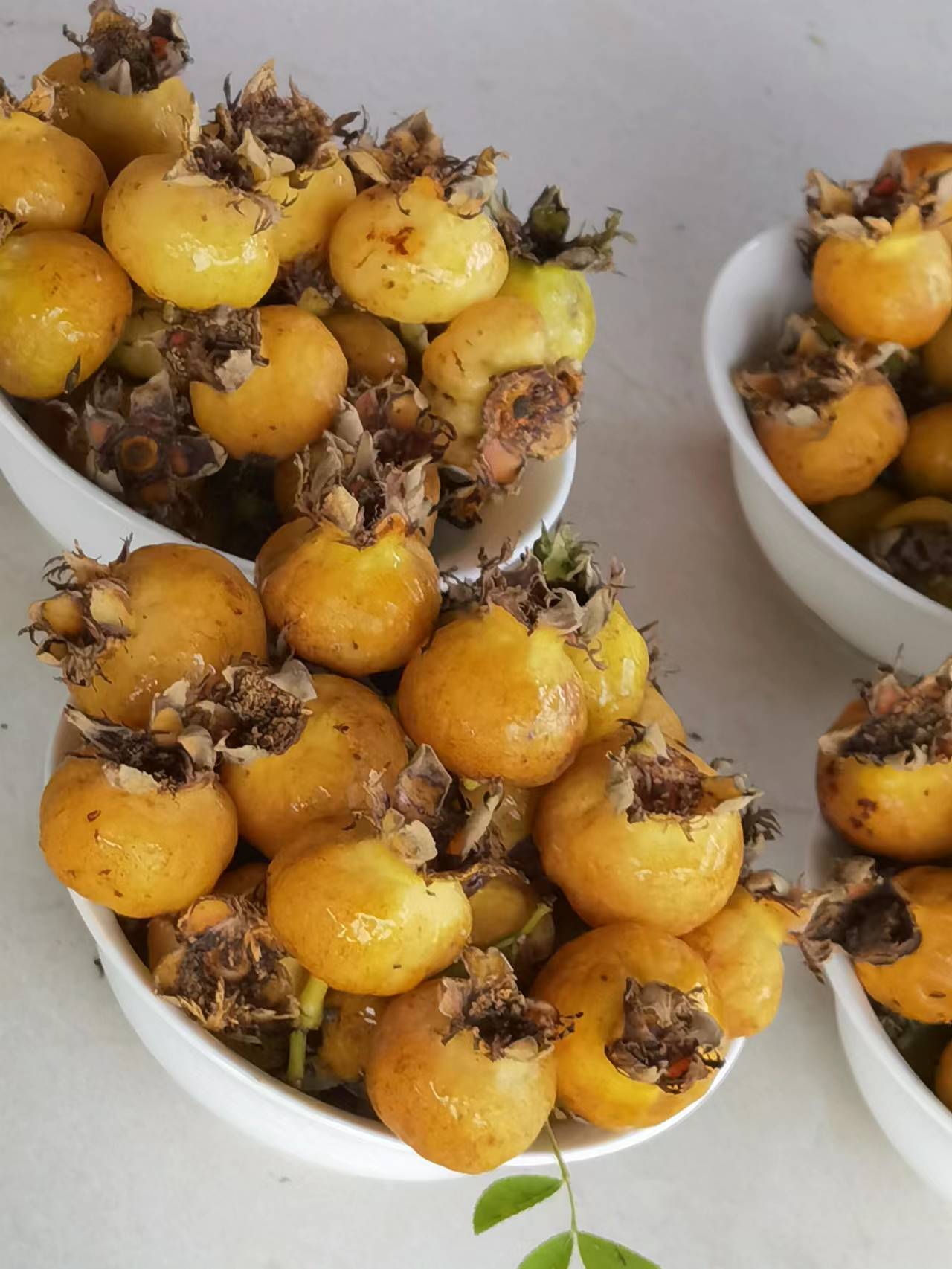 無刺刺梨 無刺刺梨苗批發(fā) 無刺刺梨苗