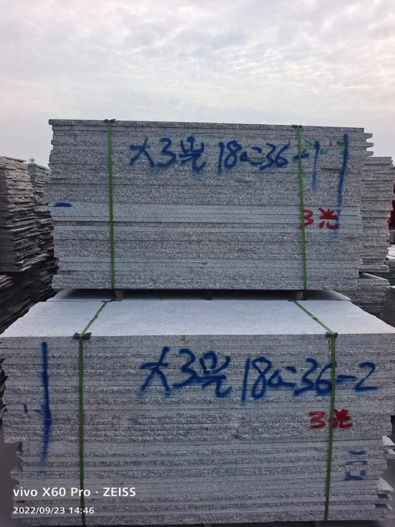 毛板圖片/毛板樣板圖 (3)