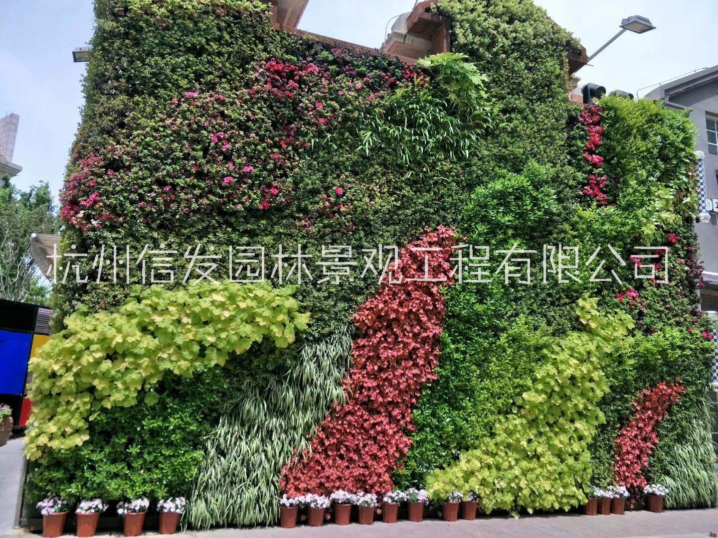 植物花墙 植物绿墙 垂直墙面绿化 办公室办公楼厂房墙面绿化 护坡边坡绿化 植物墙花盆 植物墙施工图片