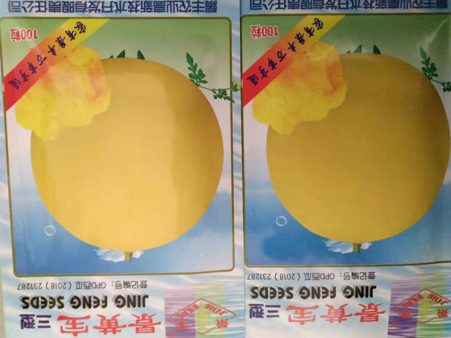 西瓜種子圖片/西瓜種子樣板圖 (3)