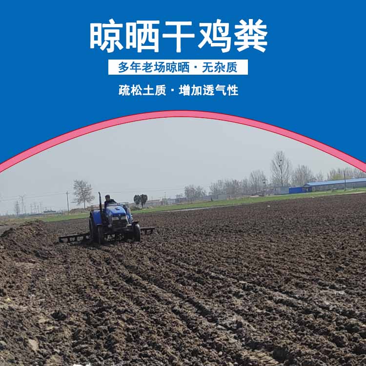 山東干雞糞圖片/山東干雞糞樣板圖 (3)