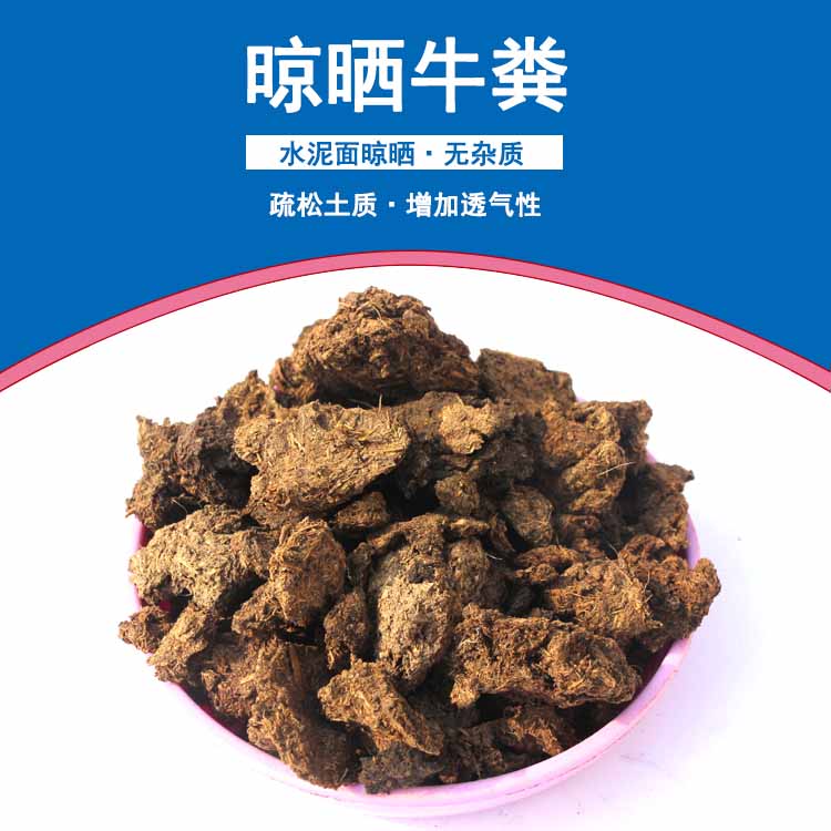 發(fā)酵雞糞圖片/發(fā)酵雞糞樣板圖 (2)