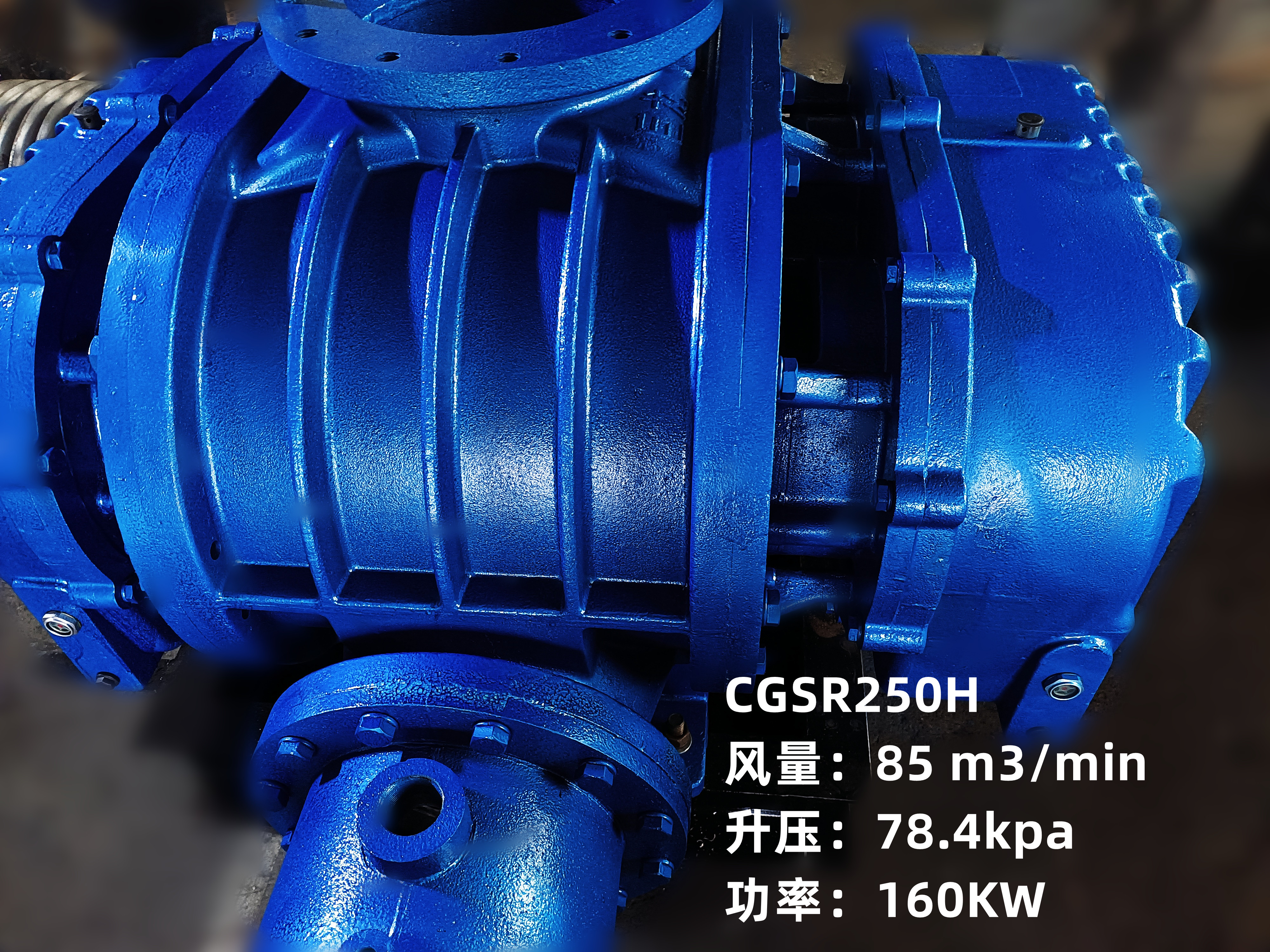 三葉羅茨鼓風(fēng)機(jī)圖片/三葉羅茨鼓風(fēng)機(jī)樣板圖 (3)