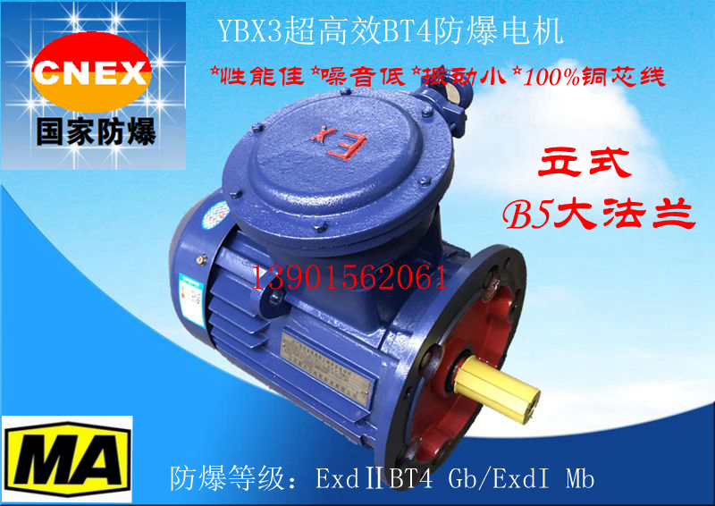 立式Y(jié)BX3超高BT4防爆電機圖片