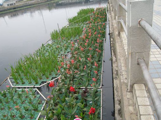 生態(tài)浮島圖片