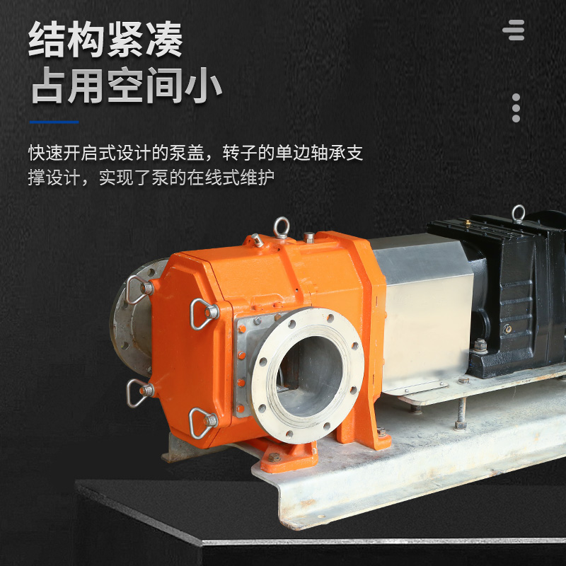 凸輪泵圖片/凸輪泵樣板圖 (2)