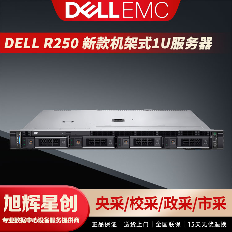 成都戴尔（DELL）R250服务器 新一代1U机架式ERP数据库文件存储邮件办公