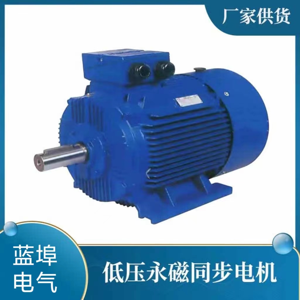 永磁同步電機(jī)圖片/永磁同步電機(jī)樣板圖 (2)