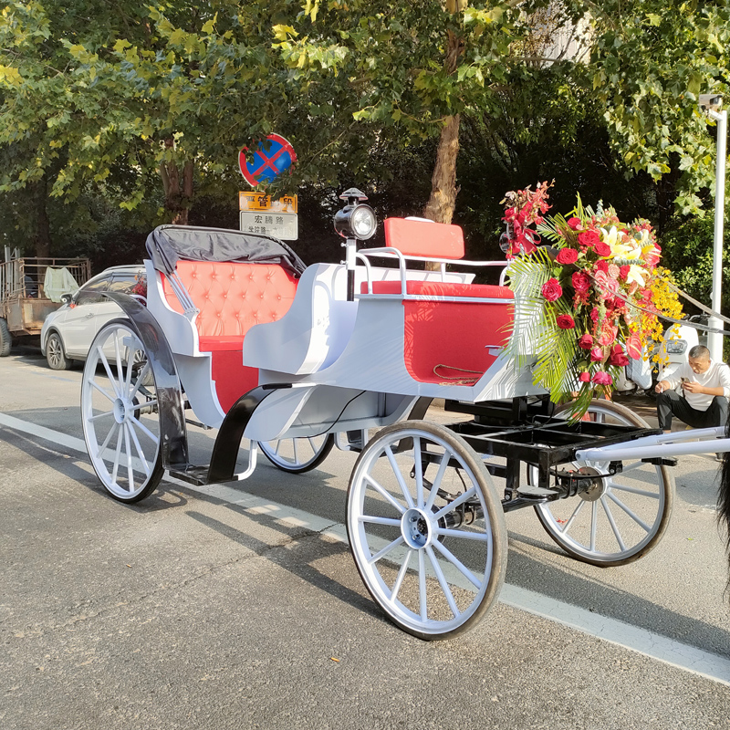 歐式觀光馬車(chē)圖片/歐式觀光馬車(chē)樣板圖 (2)