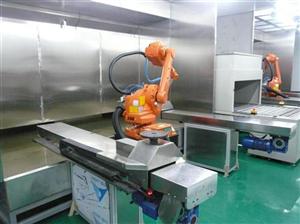 在線噴涂機器人圖片/在線噴涂機器人樣板圖 (4)