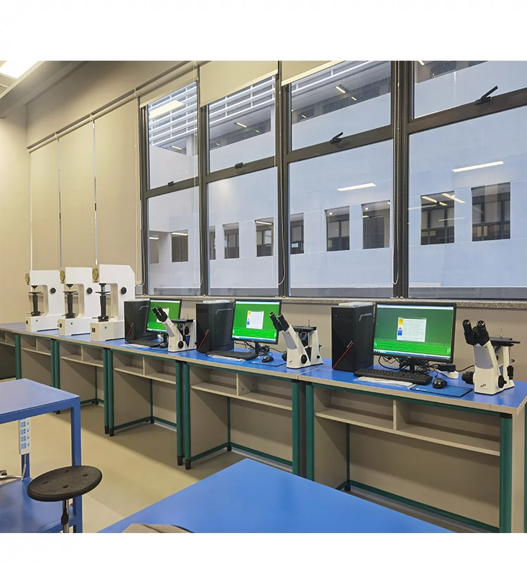 金相顯微鏡圖片/金相顯微鏡樣板圖 (2)