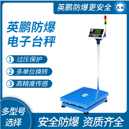 天津喷漆涂料防爆电子秤图片