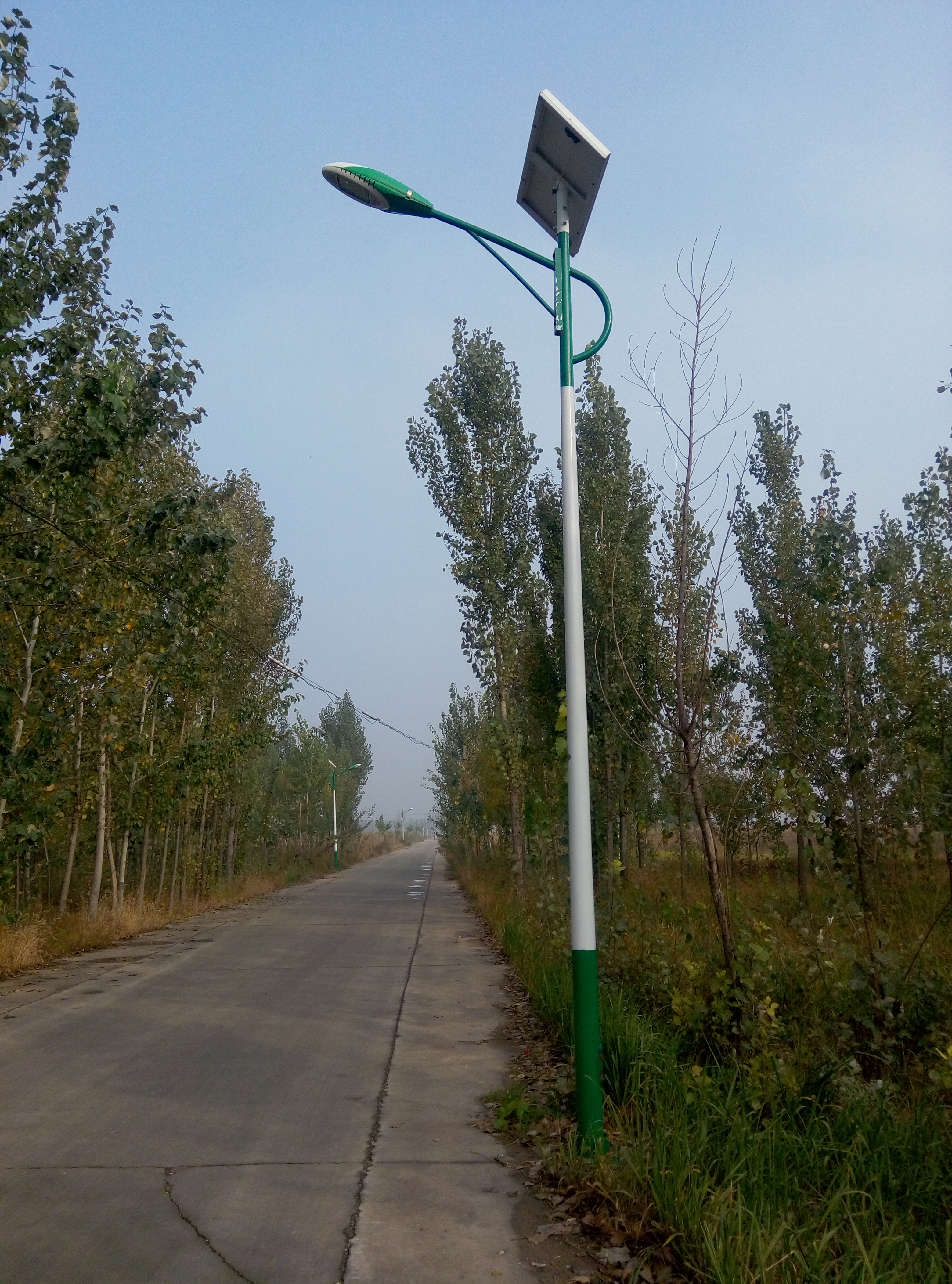 邢台太阳能路灯 邢台太阳能led灯 邢台太阳能路灯LED路灯图片