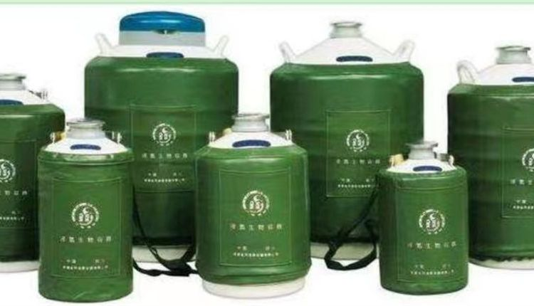 液氮罐圖片/液氮罐樣板圖 (3)