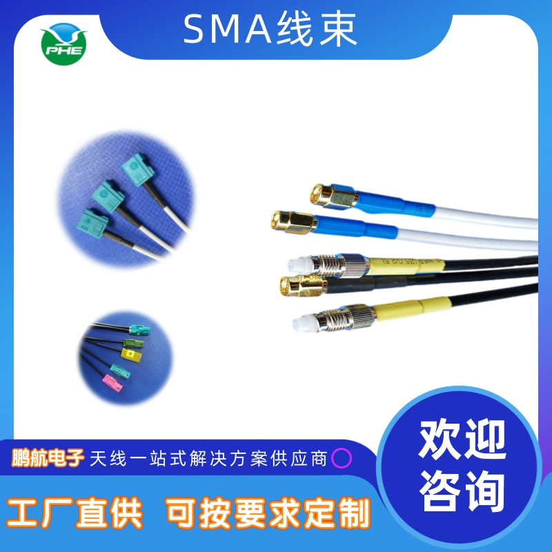 SMA线束图片