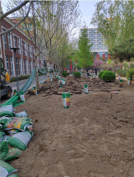 昌平庭院立體綠化維護(hù)價(jià)格 北京多場(chǎng)景可用花卉修剪哪家好