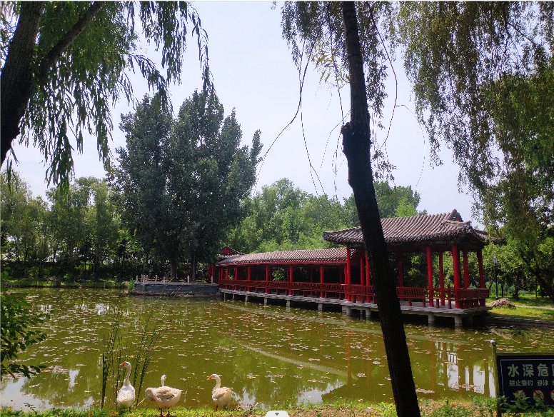 景觀魚池圖片/景觀魚池樣板圖 (2)