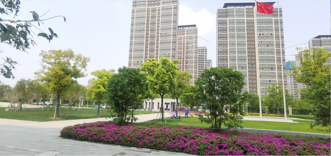 房山庭院立體綠化維護(hù)價格 北京多場景可用花卉修剪哪家好