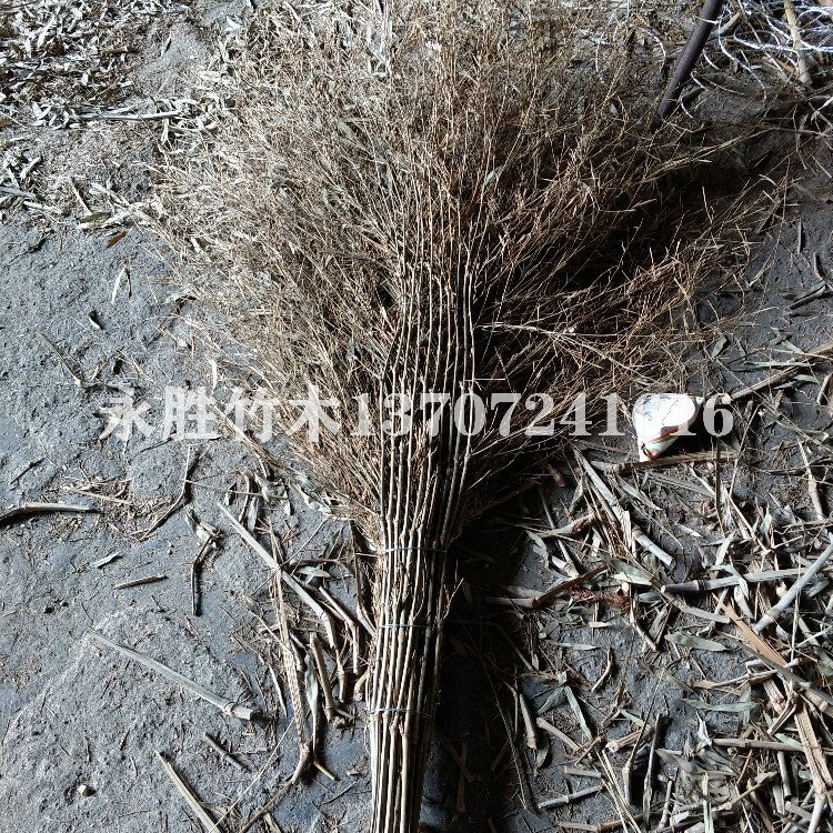 竹掃把圖片/竹掃把樣板圖 (2)