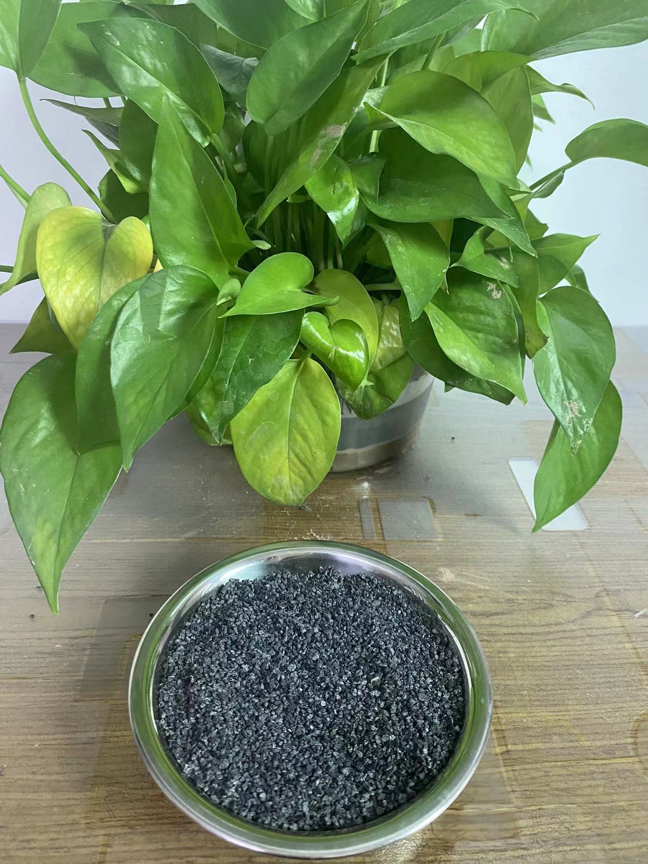 活性炭圖片/活性炭樣板圖 (1)