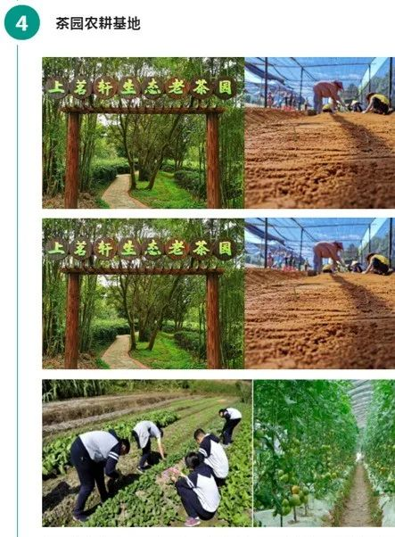 暑假福利！再不抓住就晚啦......圖片/暑假福利！再不抓住就晚啦......樣板圖 (4)
