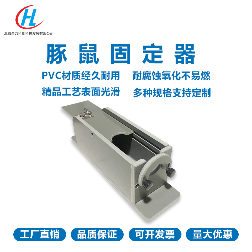 豚鼠固定器动物实验豚鼠固定图片