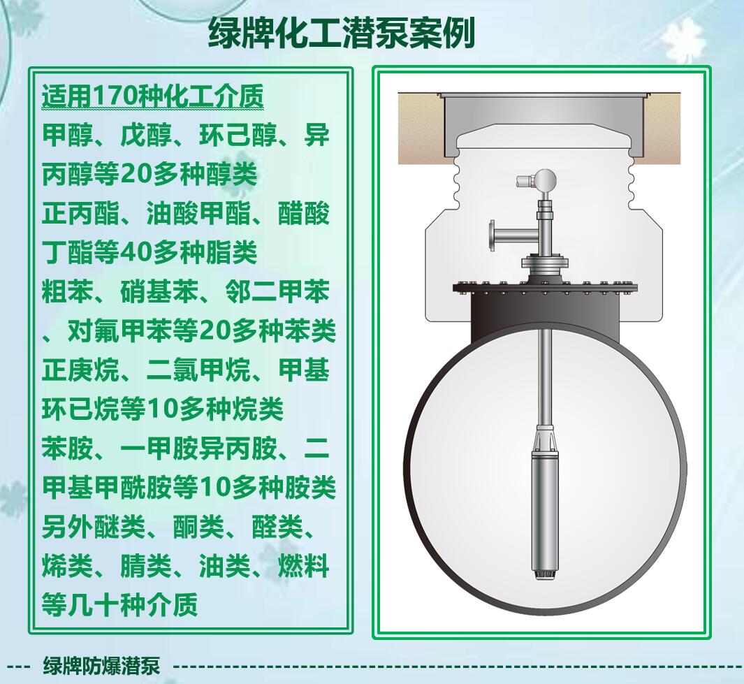 福州绿牌防爆化工液下泵BT4Ga等级防爆潜液泵