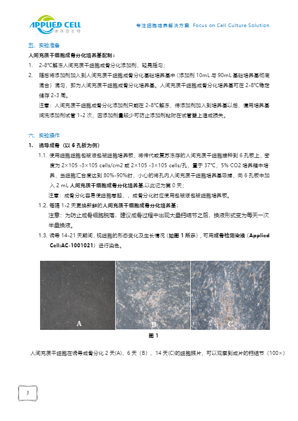間充質(zhì)干細胞圖片/間充質(zhì)干細胞樣板圖 (3)