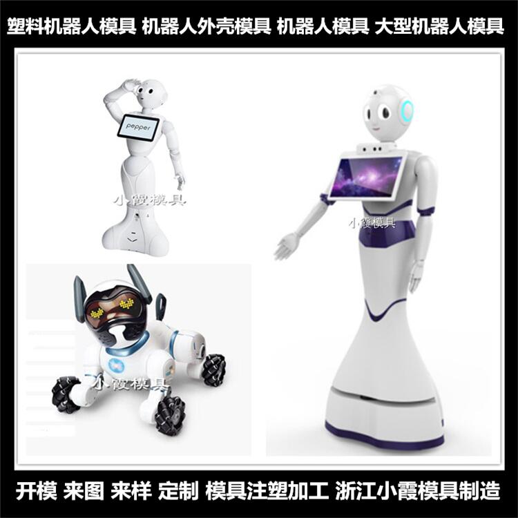 塑料機(jī)器人模具/訂制供應(yīng)商