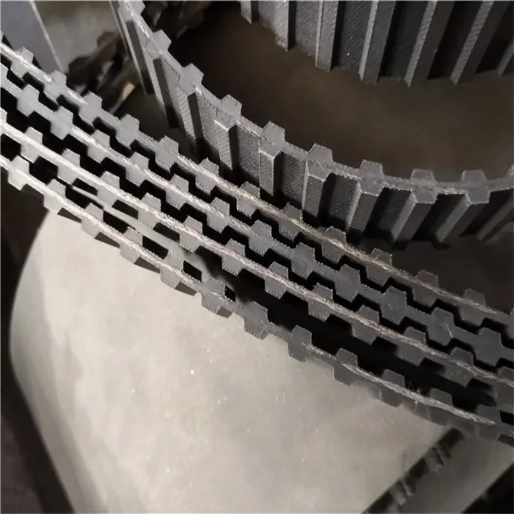 多楔帶圖片/多楔帶樣板圖 (4)