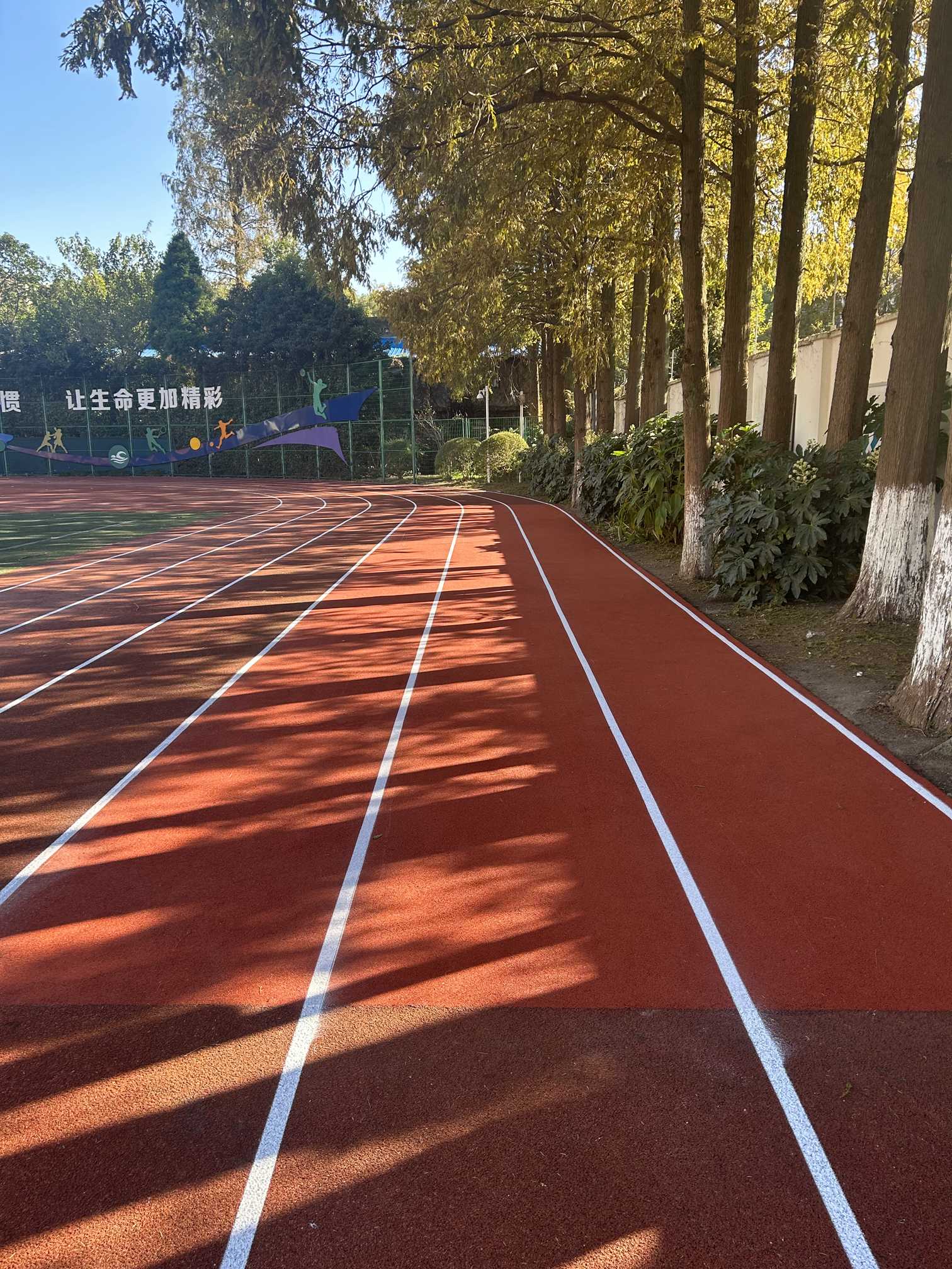 上海大學(xué)塑膠 跑道清洗圖片/上海大學(xué)塑膠 跑道清洗樣板圖 (3)