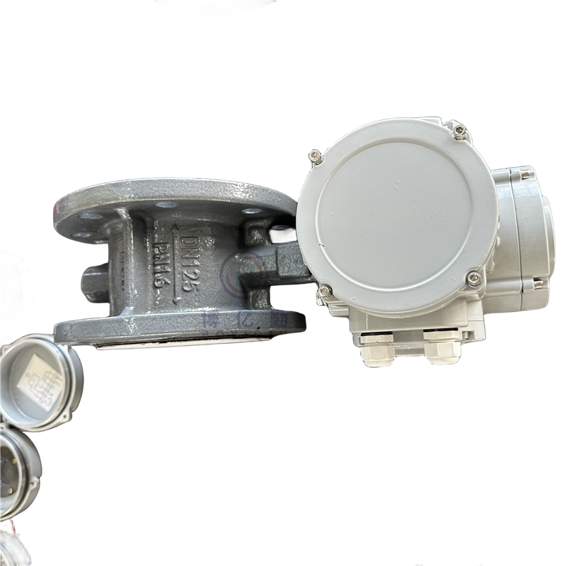 精小型電動(dòng)蝶閥圖片/精小型電動(dòng)蝶閥樣板圖 (3)