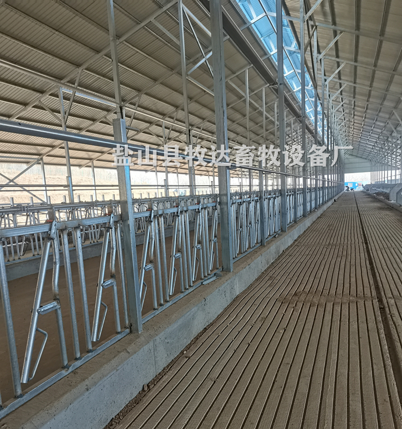 牛頸枷圖片/牛頸枷樣板圖 (4)