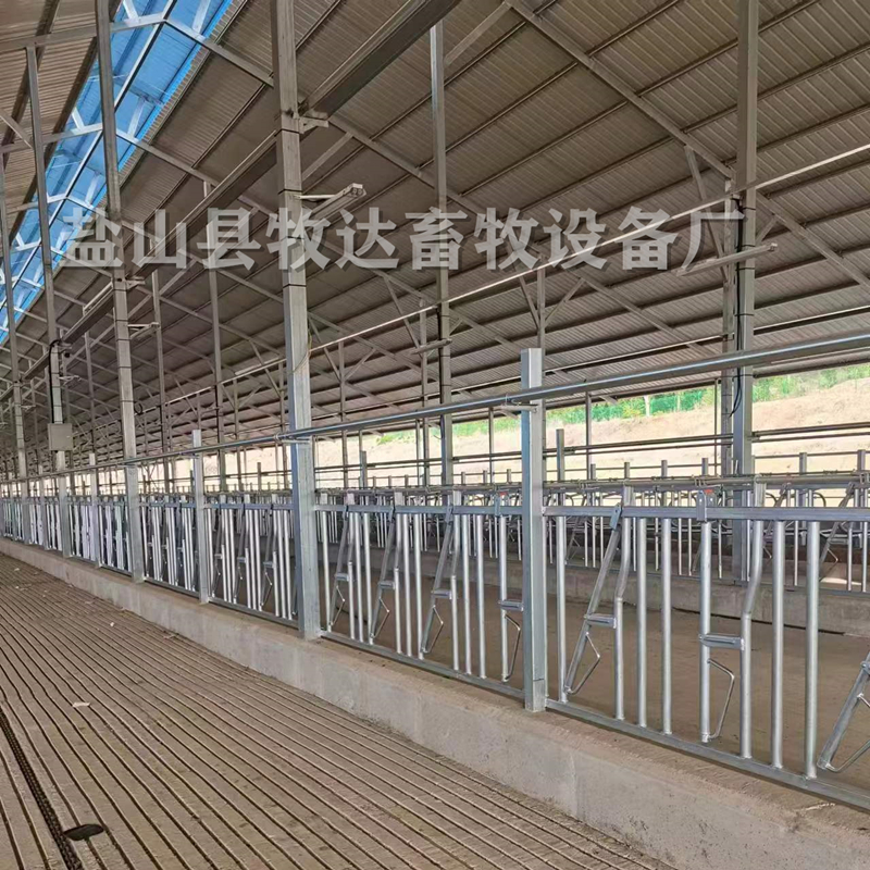 牛頸枷圖片/牛頸枷樣板圖 (3)