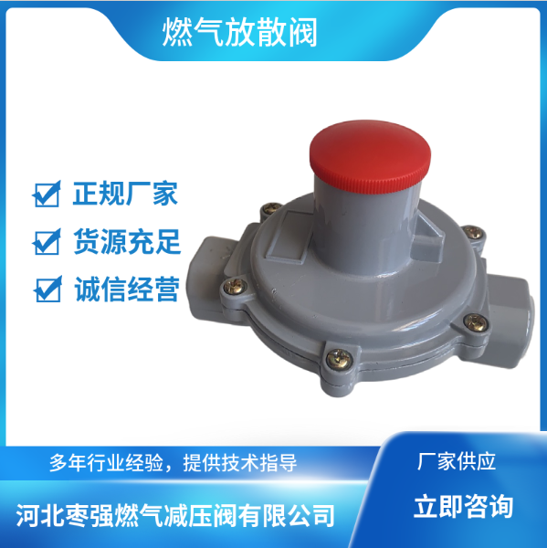 燃?xì)夥派㈤y圖片/燃?xì)夥派㈤y樣板圖 (3)