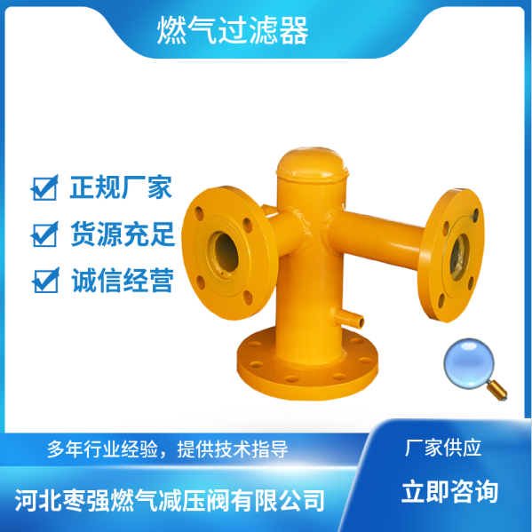 燃?xì)膺^濾器圖片/燃?xì)膺^濾器樣板圖 (3)