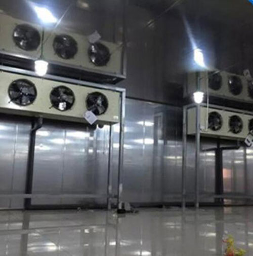 速凍冷庫哪家好圖片/速凍冷庫哪家好樣板圖 (3)