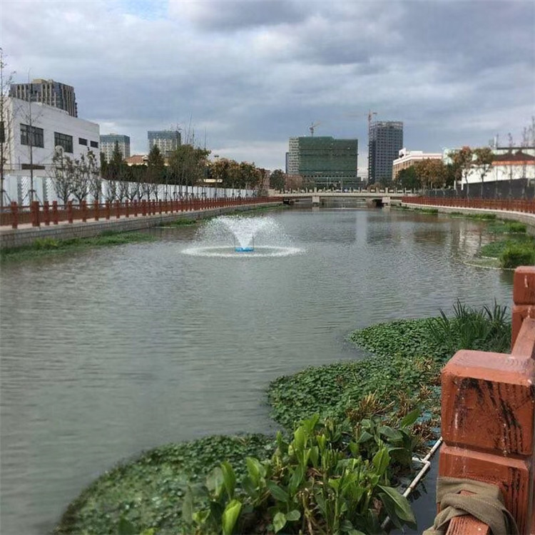 提水式太陽能噴泉曝氣機圖片