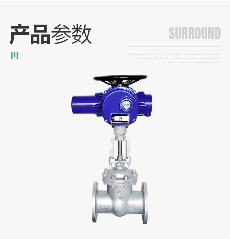 耐腐蝕濃水調(diào)節(jié)閥圖片/耐腐蝕濃水調(diào)節(jié)閥樣板圖 (4)