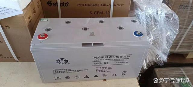 雙登蓄電池圖片/雙登蓄電池樣板圖 (4)