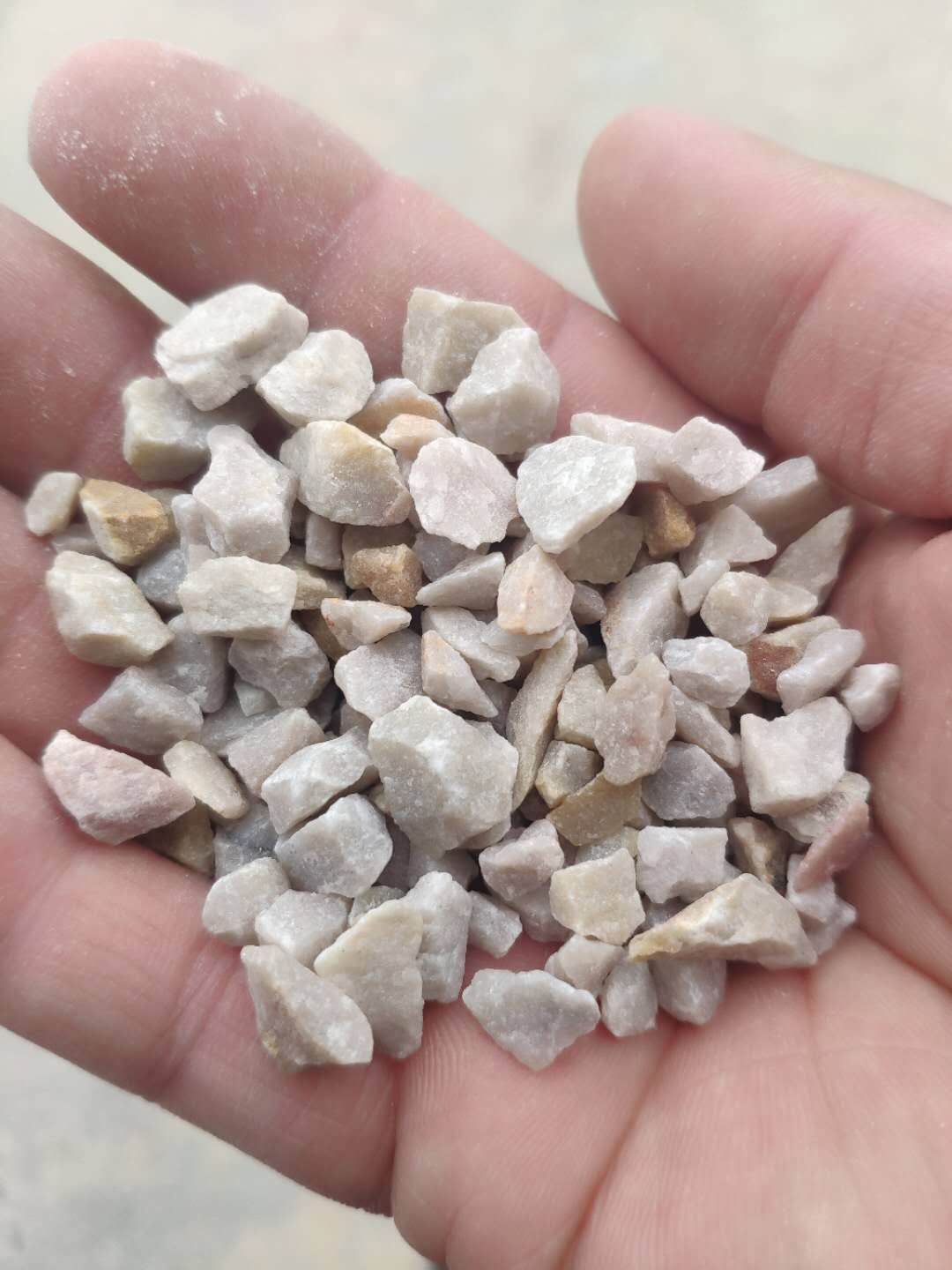 石英砂圖片/石英砂樣板圖 (3)