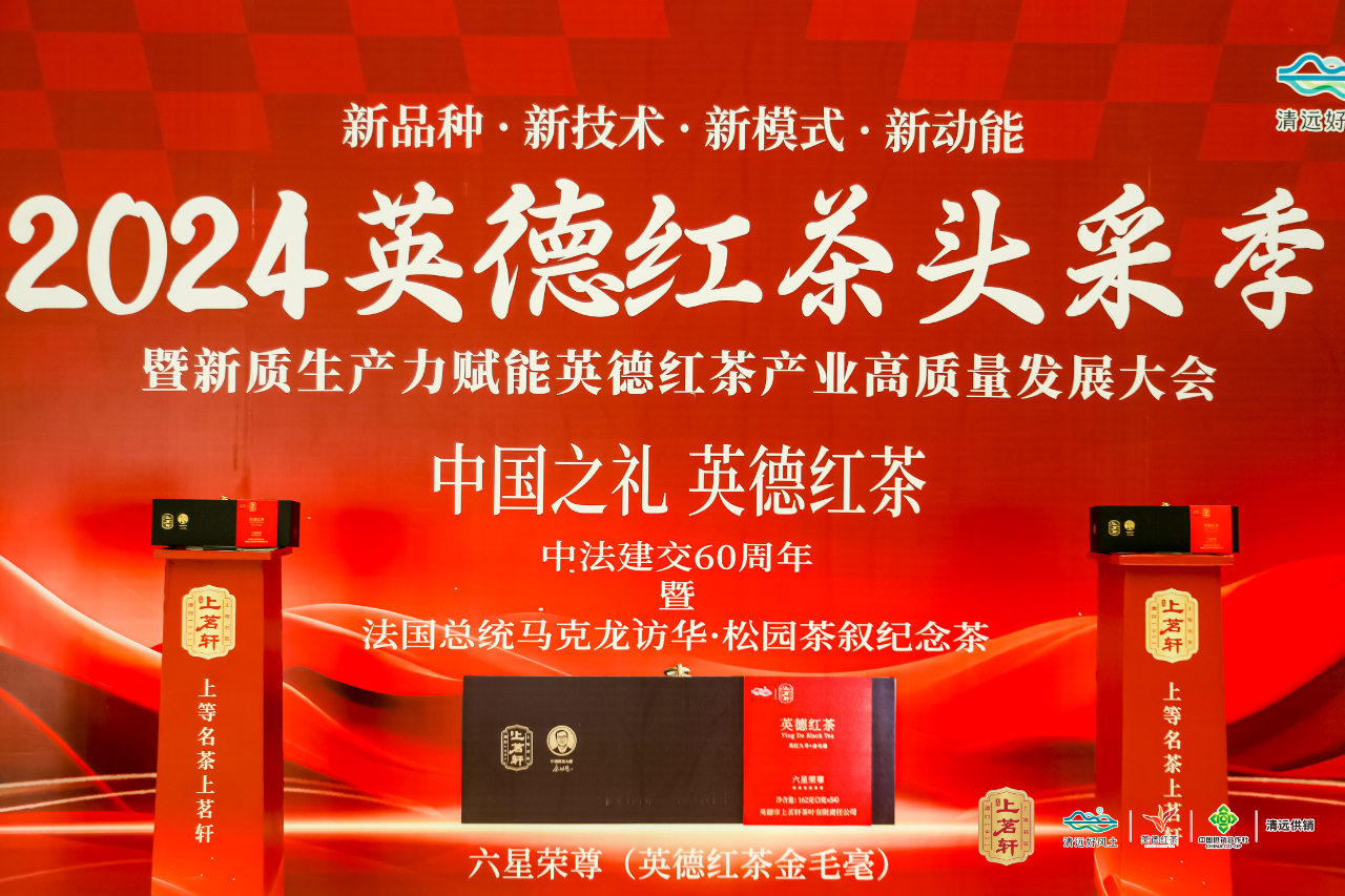 “四新”英德紅茶頭采季 賦能英德紅茶高質(zhì)量發(fā)展圖片