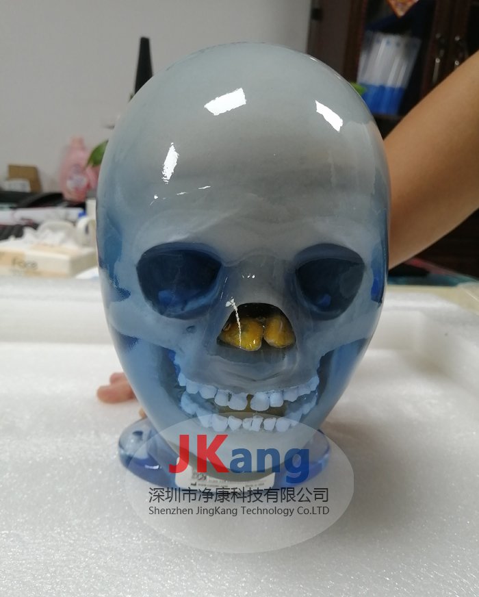 CIRS 715兒童仿真模體圖片/CIRS 715兒童仿真模體樣板圖 (3)