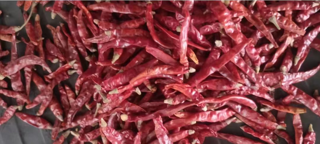 辣椒干圖片/辣椒干樣板圖 (1)