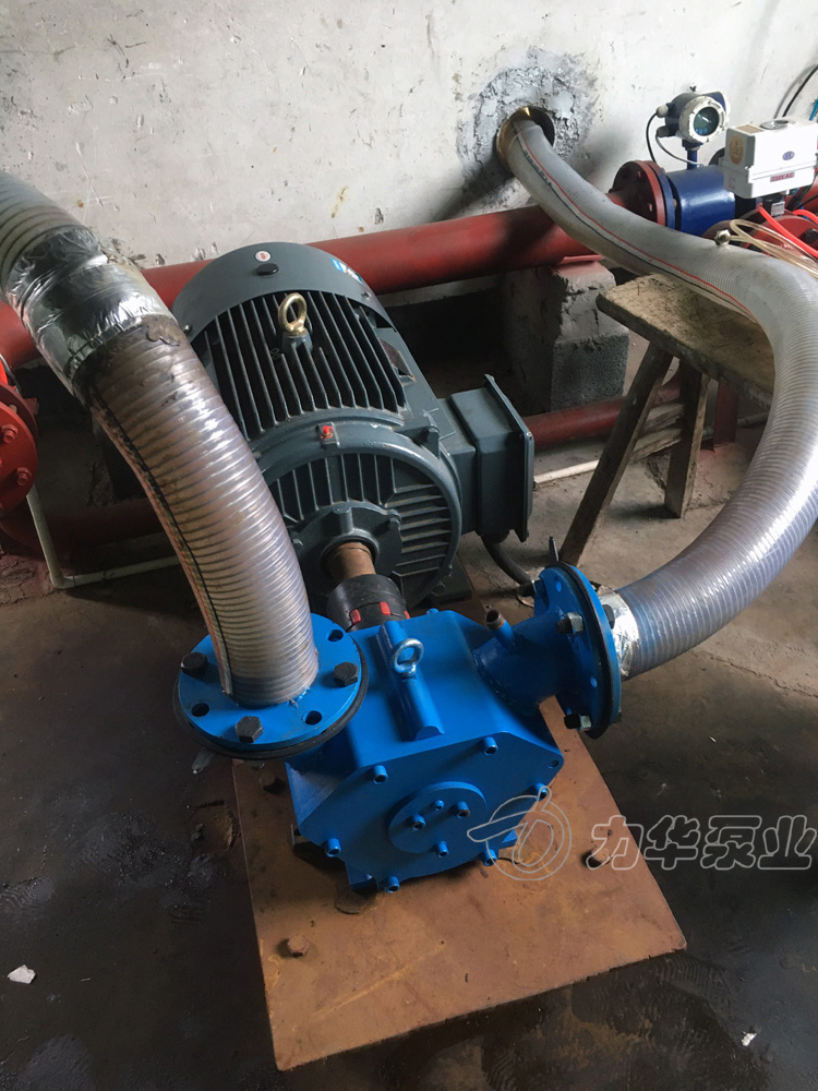 粘稠污泥泵-力華無堵塞轉(zhuǎn)子泵圖片/粘稠污泥泵-力華無堵塞轉(zhuǎn)子泵樣板圖 (3)